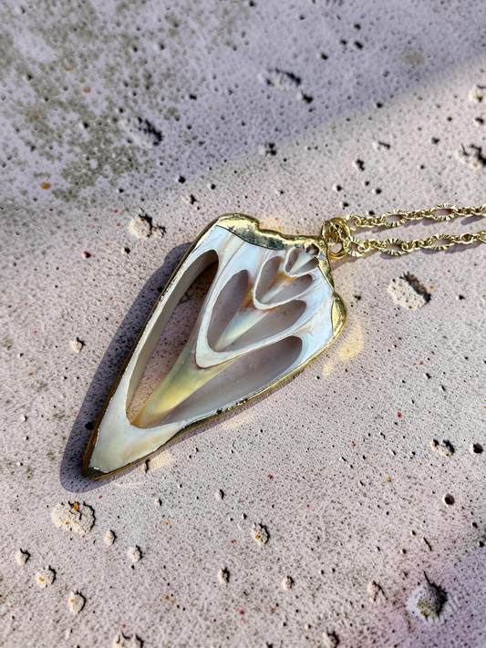 Coastal Shell Pendant Necklace